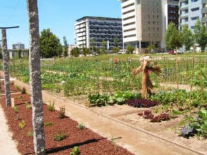 Famalicão em Transição acredita que processo da construção do novo edifício do CITEVE é reversível