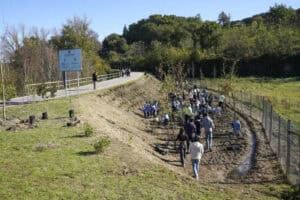 Plantação de um milhar de espécies autóctones em floresta urbana de Guimarães