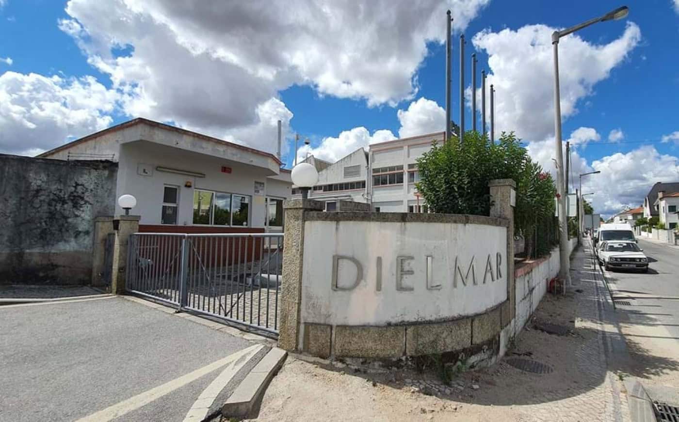 Dielmar foi declarada insolvente mas pode ter uma nova vida
