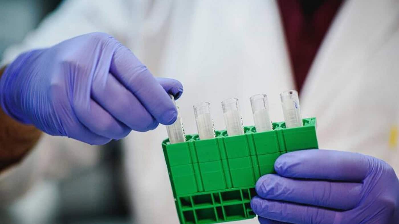 Portugal realizou 117 mil testes na terça-feira, novo máximo em 24 horas