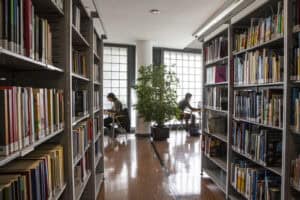 “17 anos de Páginas abertas à comunidade”. BLCS está de parabéns