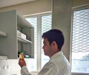 Estudo da UMinho propõe auxiliar o transporte e aumentar a produção de proteínas mensageiras