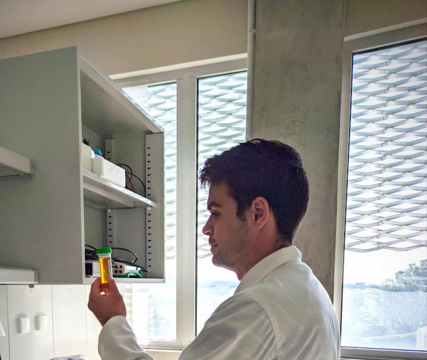 Estudo da UMinho propõe auxiliar o transporte e aumentar a produção de proteínas mensageiras