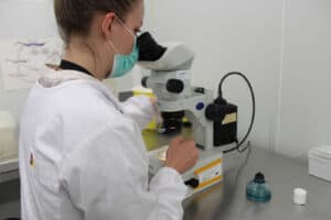 Atrasos das agências financiadoras afetam capacidade de execução da UMinho