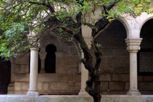 Guimarães recebe exposição ’Afetos Produzidos - Produção Afetada’