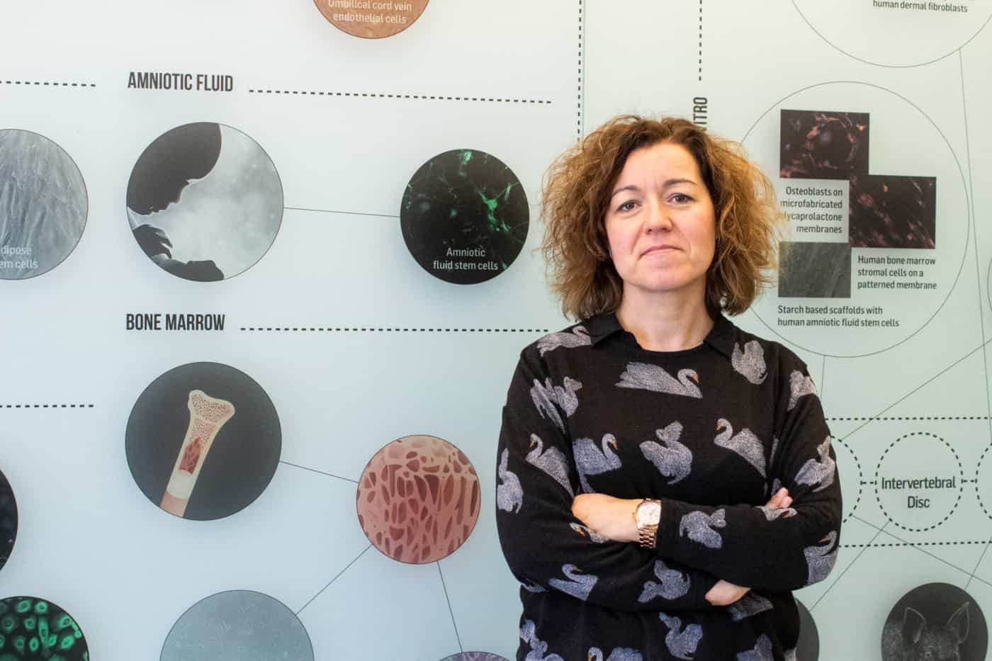 É da UMinho uma das quatro galardoadas com bolsa do ERC