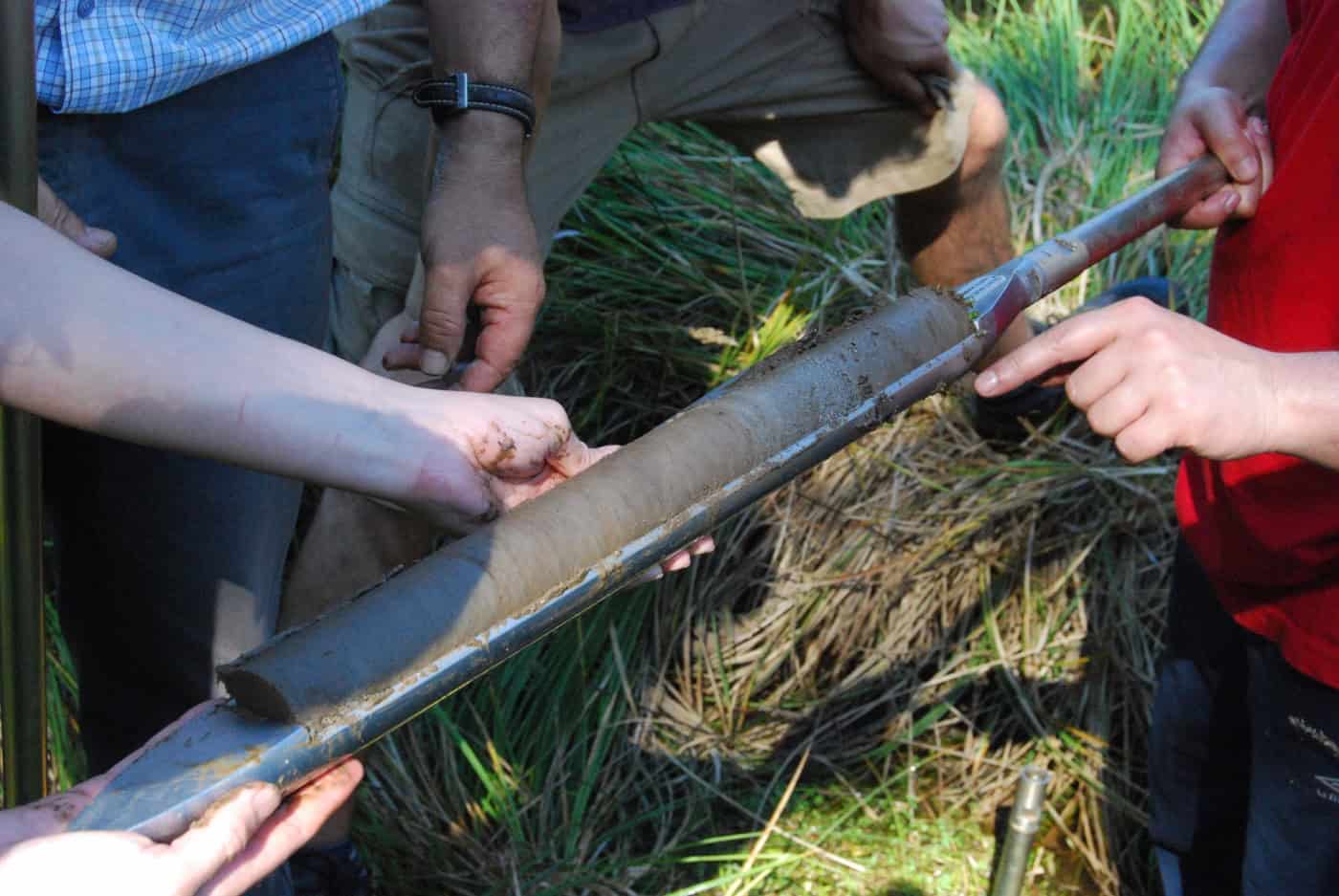 Peste Negra teve impacto menos devastador na Península Ibérica