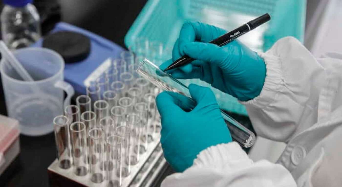 Mais 28 mortes e 13.103 novos casos de Covid-19 em Portugal