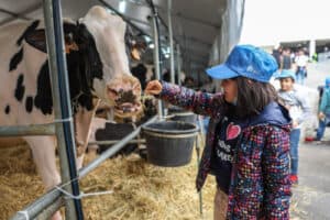 Regresso da AGRO cativou quase 40 mil pessoas