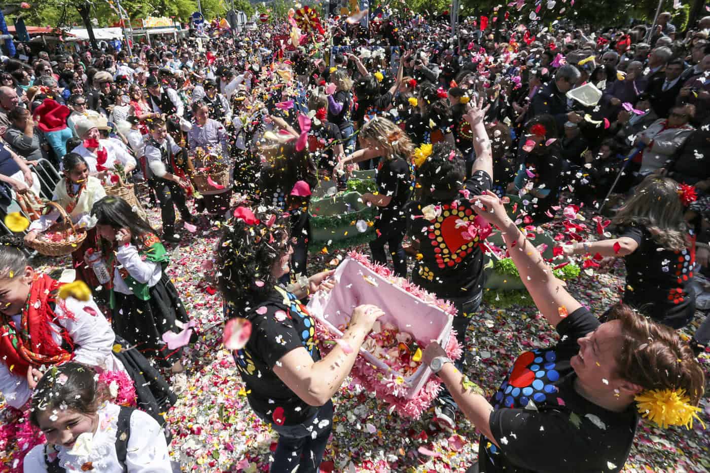 Cruzes regressam com orçamento reforçado para atrair turistas e incentivar economia