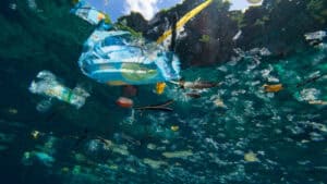 Dia da Terra mobiliza ações para "investir no planeta" doente&nbsp;