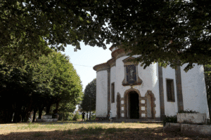 'Lazy Sessions Guadalupe' regressam a Braga com B Fachada e Manel Cruz