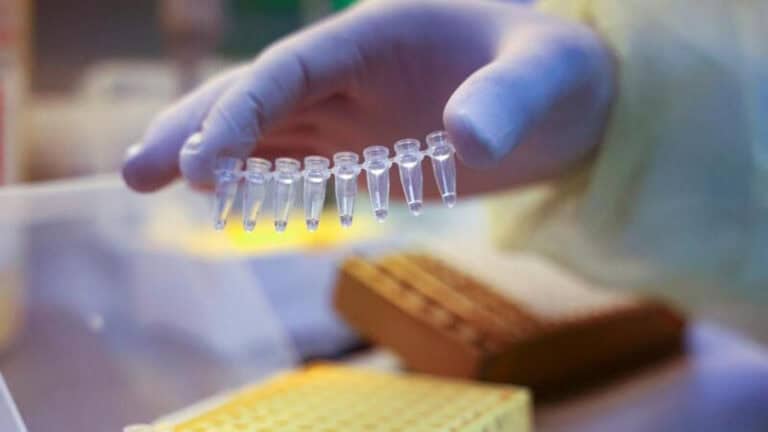 Média diária em Portugal volta a subir para mais de 29 mil casos de Covid&nbsp;