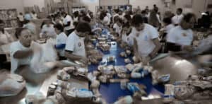 Banco Alimentar Contra a Fome recolhe alimentos em Braga este fim de semana