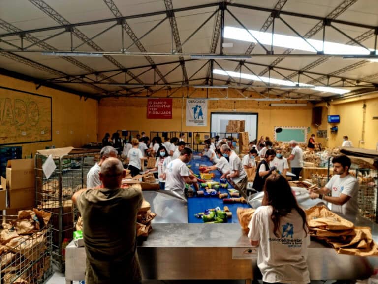 Banco Alimentar recolhe mais de 114 toneladas de alimentos em Braga