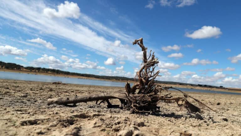Governo reconhece oficialmente que o continente está em seca severa ou extrema