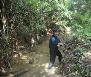 Desinvestimento da UE em espécies endémicas pode ter riscos ´perigosos`