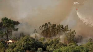 Mais de 80 concelhos de 10 distritos em perigo máximo de incêndio&nbsp;