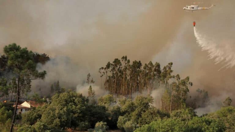 Mais de 80 concelhos de 10 distritos em perigo máximo de incêndio&nbsp;