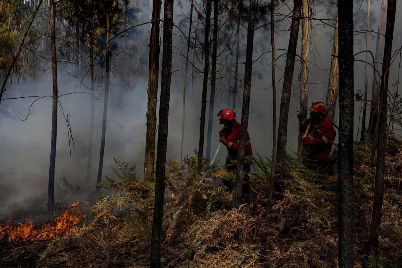 Risco de incêndio vai "baixar de forma significativa sobretudo no litoral"