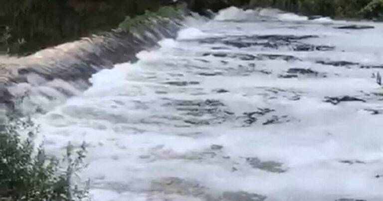 PAN Famalicão quer mais ação para travar poluição do Rio Ave