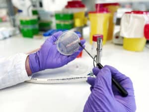 UMinho coloca 15 áreas científicas no Ranking de Shangai