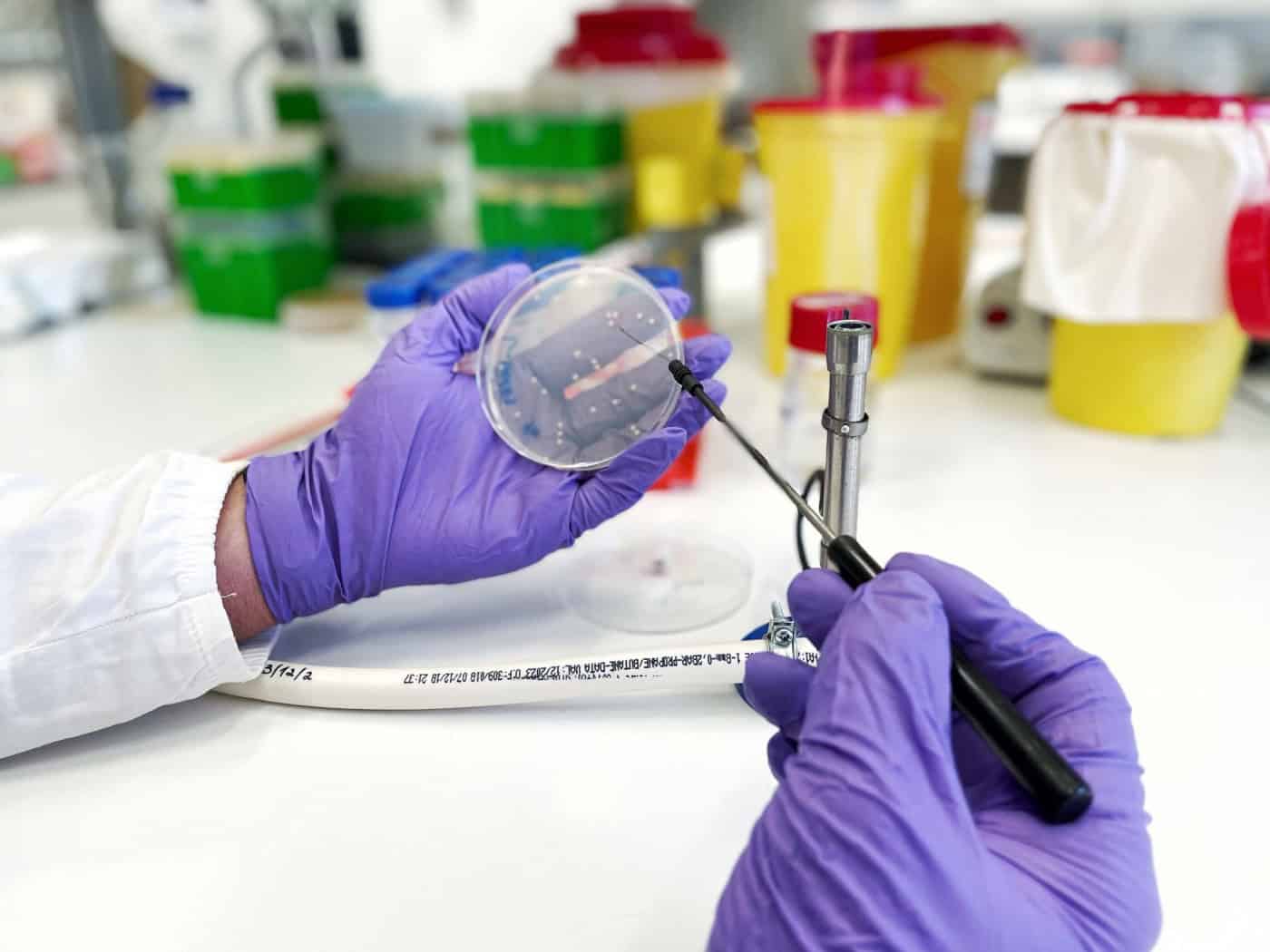 UMinho coloca 15 áreas científicas no Ranking de Shangai