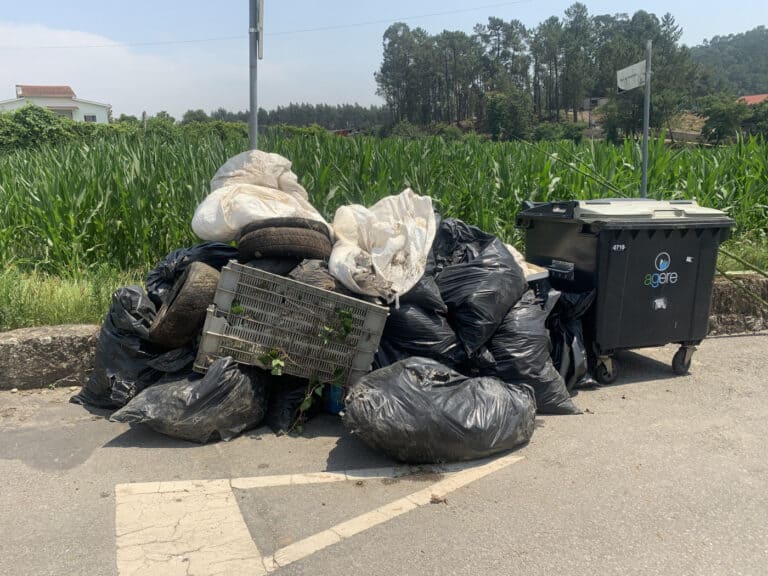 Cerca de uma tonelada e meia de resíduos recolhida no Rio Este