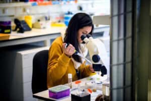 Mais de 65 mil animais de laboratório usados em experiências científicas em Portugal