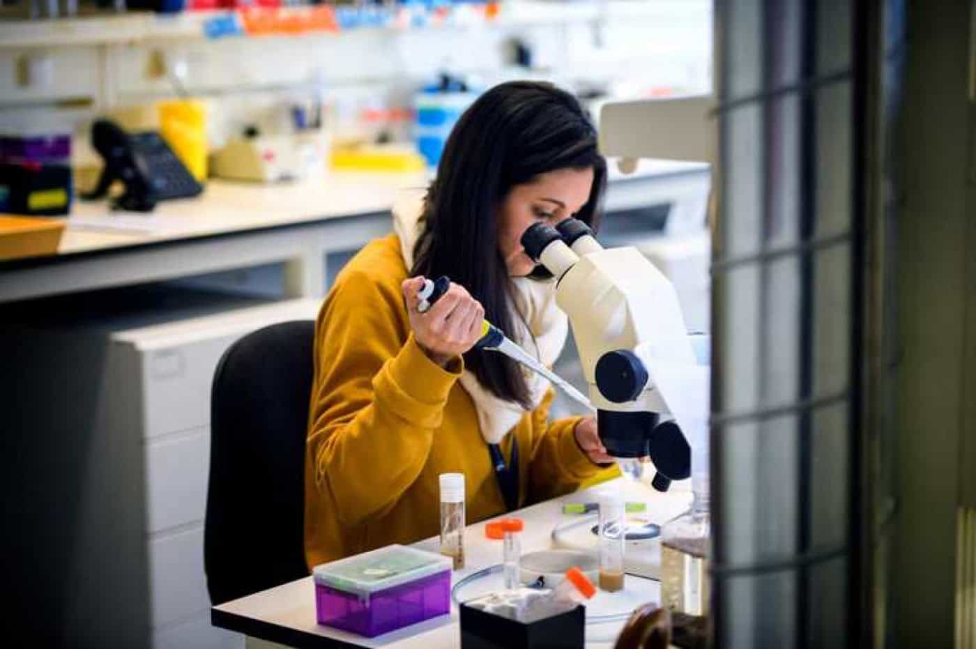 Mais de 65 mil animais de laboratório usados em experiências científicas em Portugal