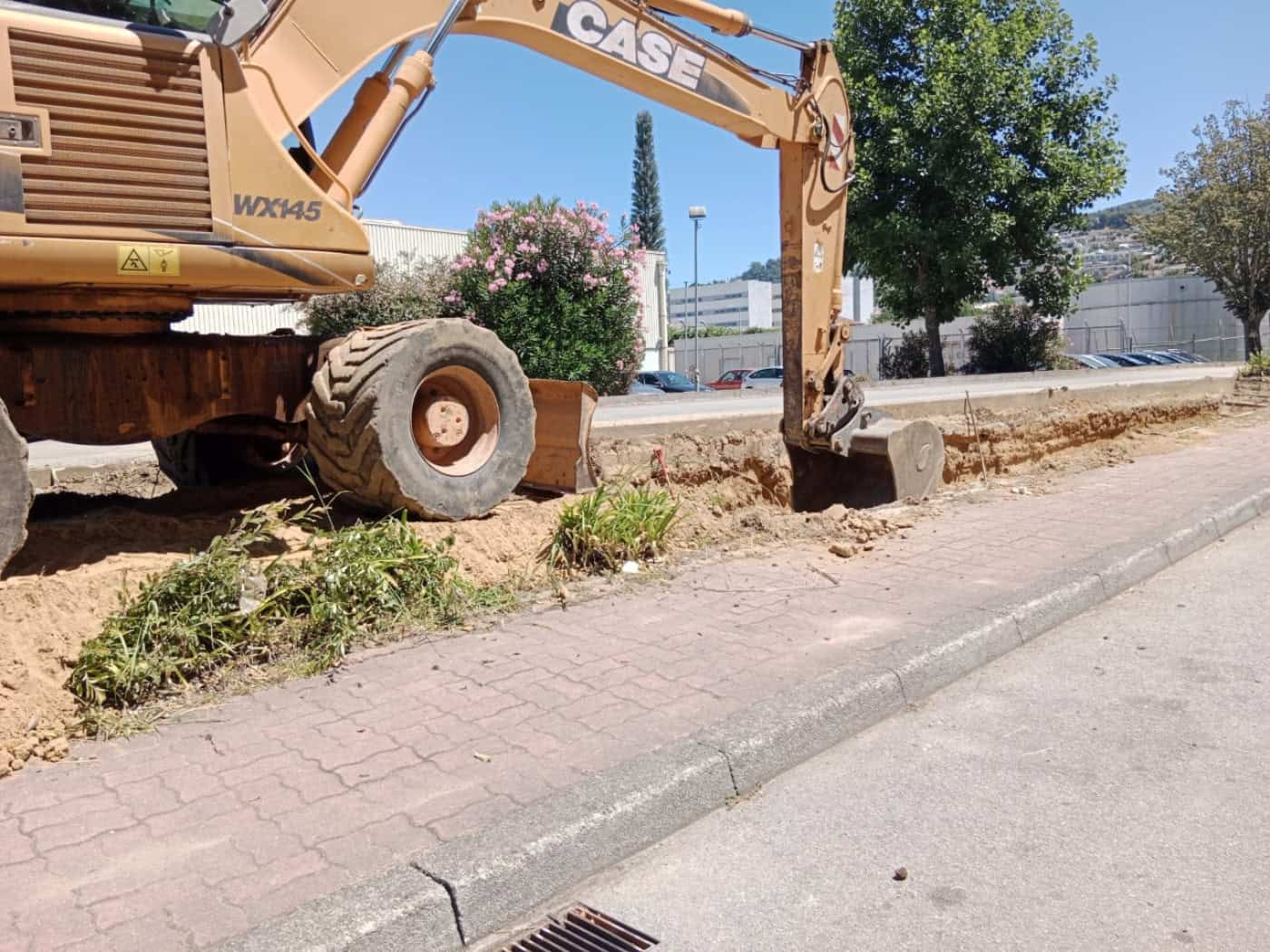 CMB vai abater entre 7 a 9 árvores na Avenida António Palha