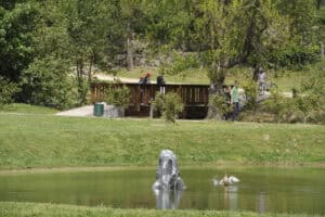 'Mapa Verde' e 'Passo Verde' dão a conhecer lugares em Guimarães