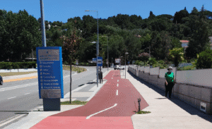 Movimento define 25 de julho como Dia de Luta pela Defesa das Árvores de Braga
