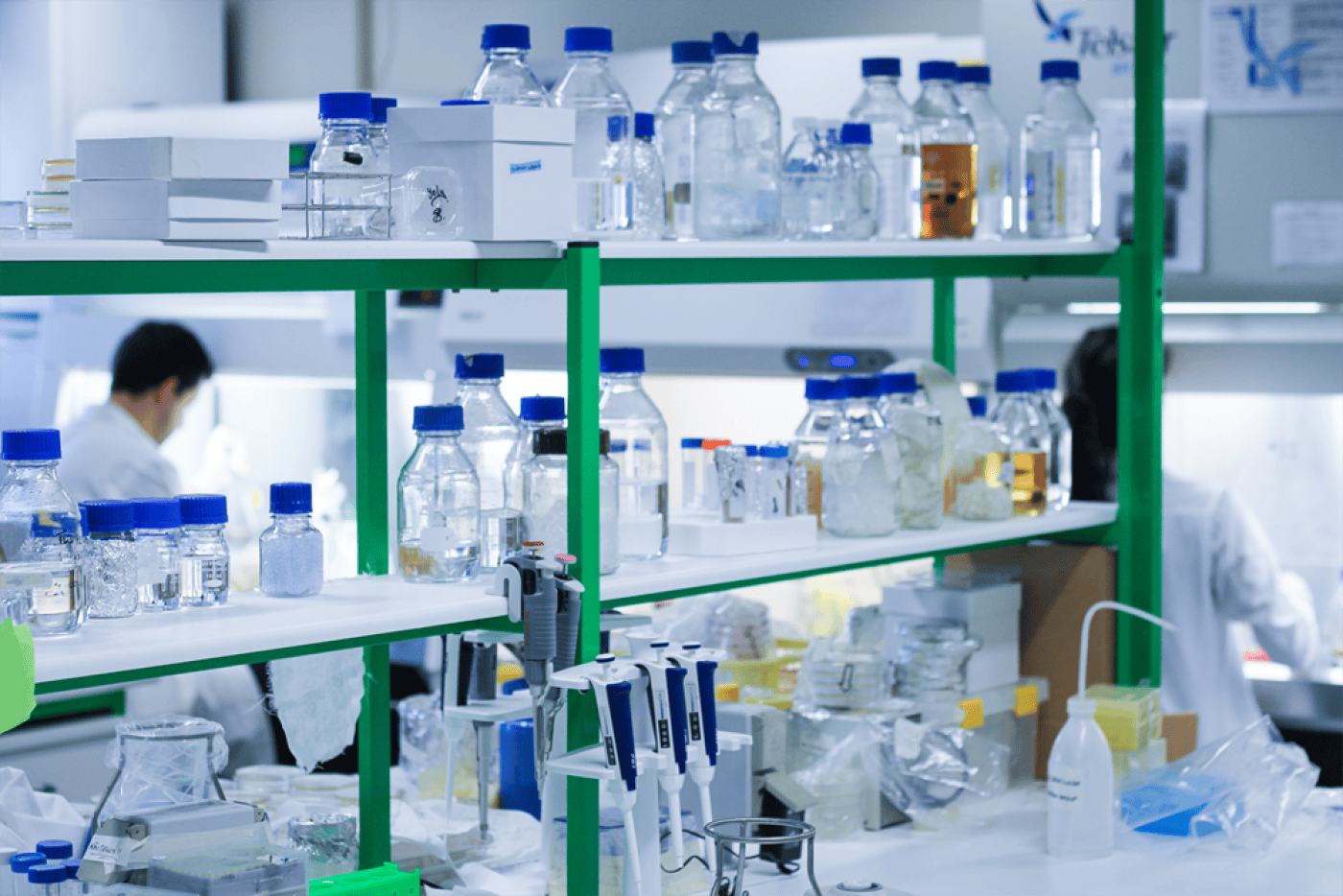 CEB e Ciimar com patente de ração para peixes com recurso a subprodutos da cerveja e vinho