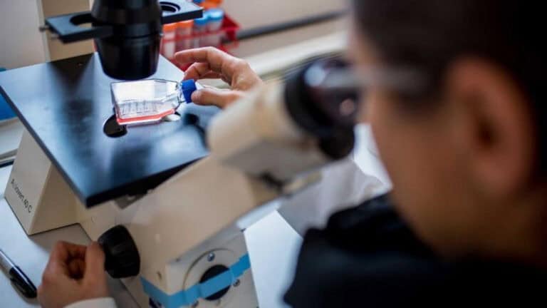 FCT atribui 400 contratos a investigadores doutorados em investimento superior a 120 ME