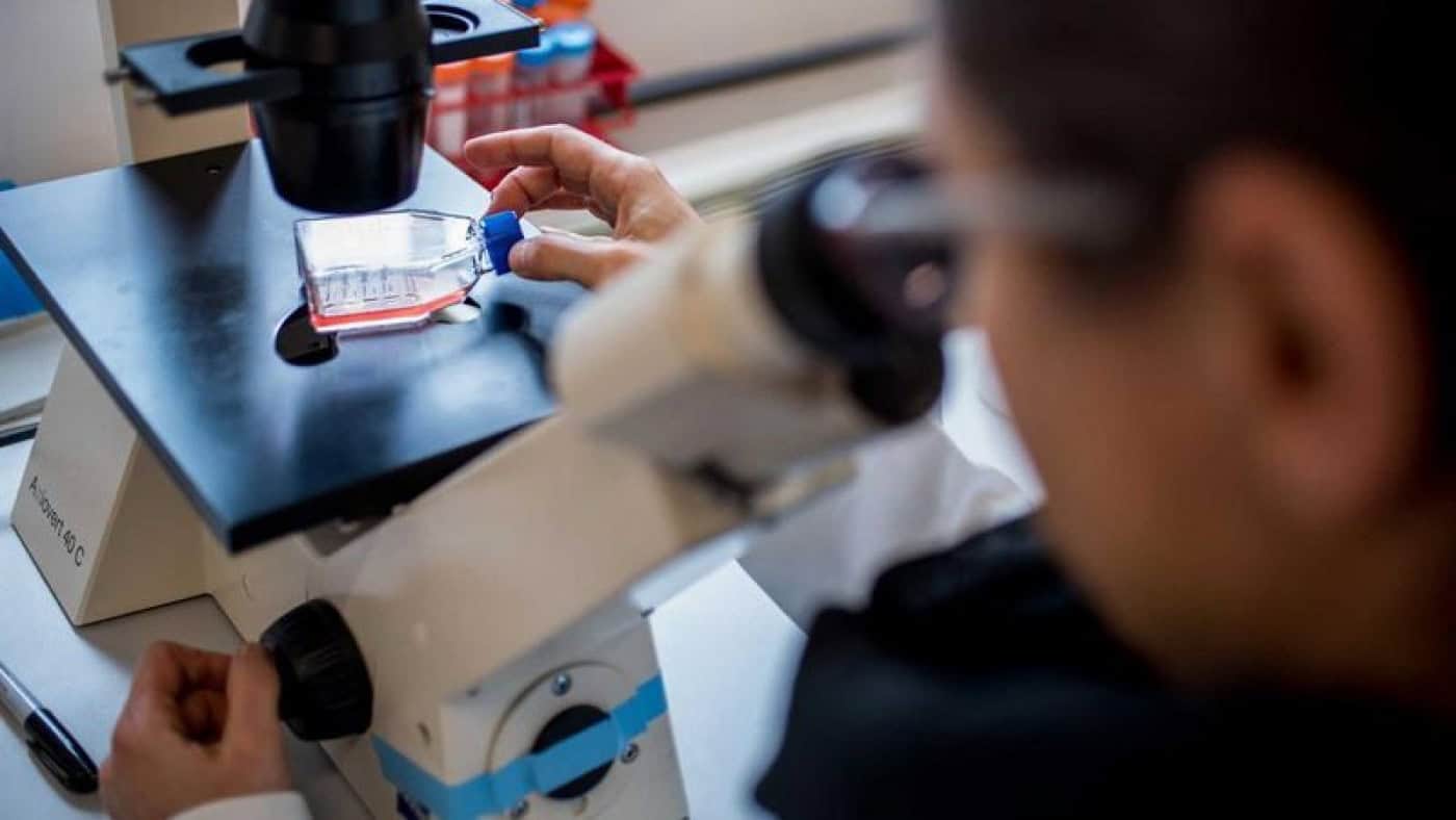 FCT atribui 400 contratos a investigadores doutorados em investimento superior a 120 ME