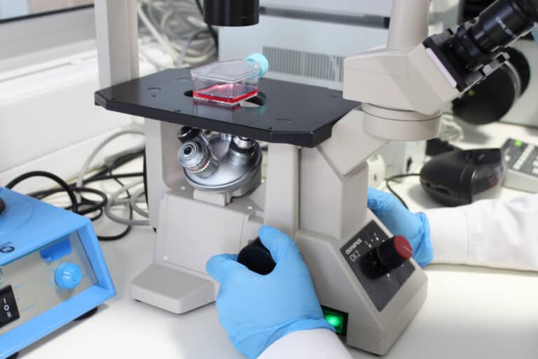 Portugal abaixo da média europeia na mobilização de verbas para investigação