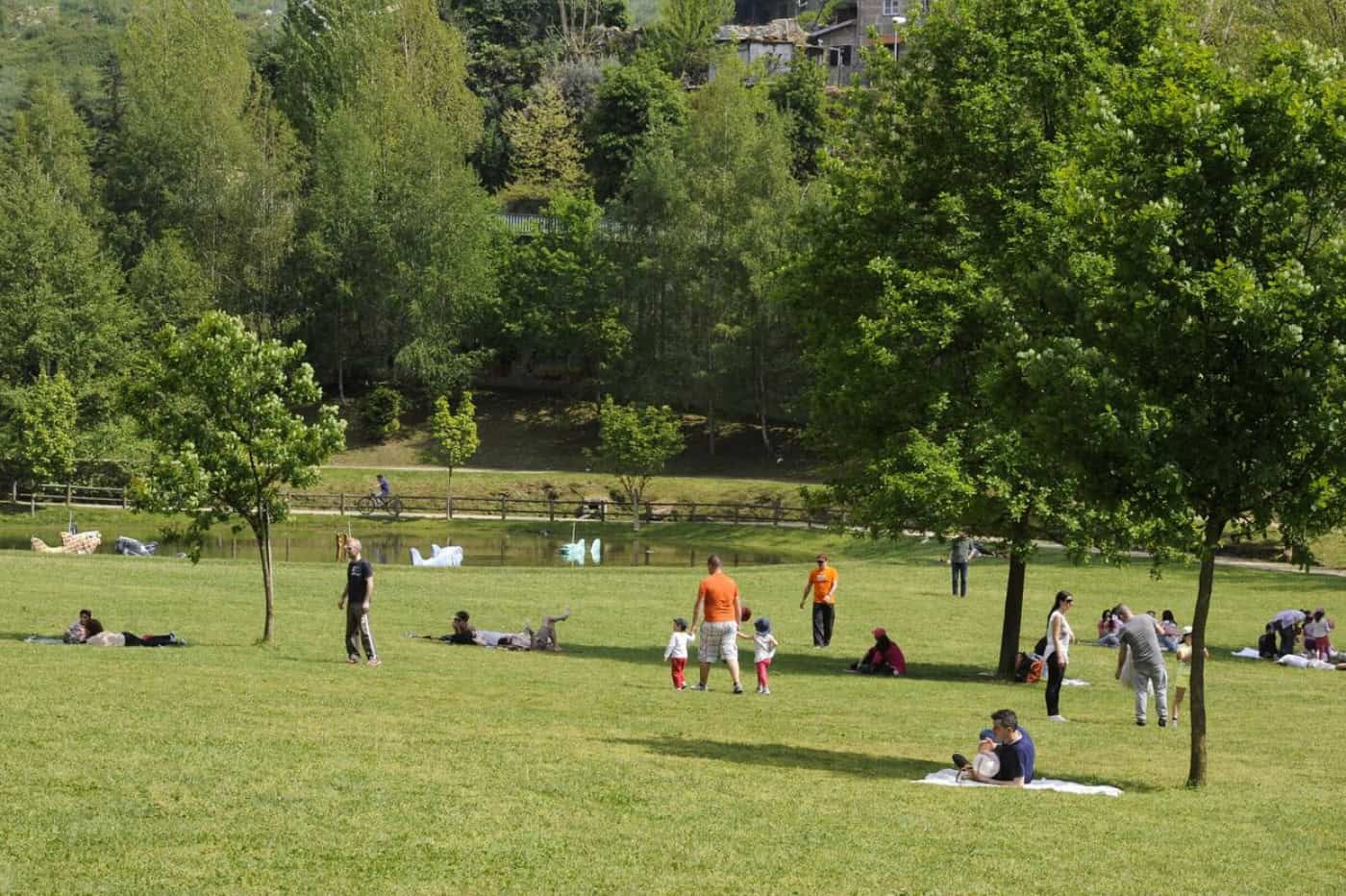Piquenique em Guimarães junta cuidadores informais, familiares e amigos