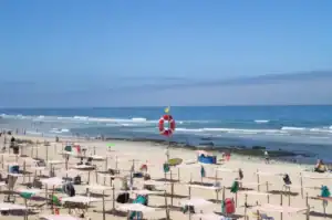 Portugal regista recorde de mortes em meio aquático dos últimos cinco anos