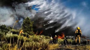 Proteção Civil espera dominar fogo na Serra da Estrela nos próximos dois dias&nbsp;