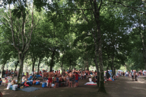 Onda de calor chega a Portugal este sábado. Braga é um dos 14 distritos sob aviso