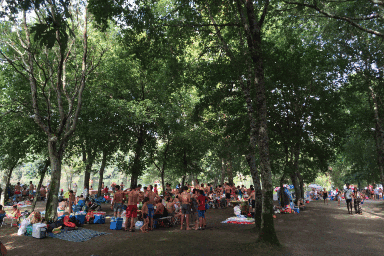 Onda de calor chega a Portugal este sábado. Braga é um dos 14 distritos sob aviso