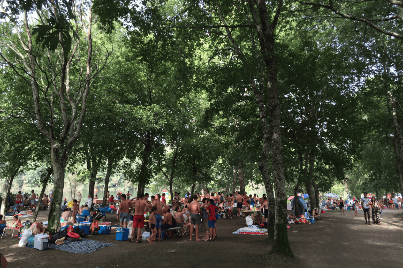 Onda de calor chega a Portugal este sábado. Braga é um dos 14 distritos sob aviso