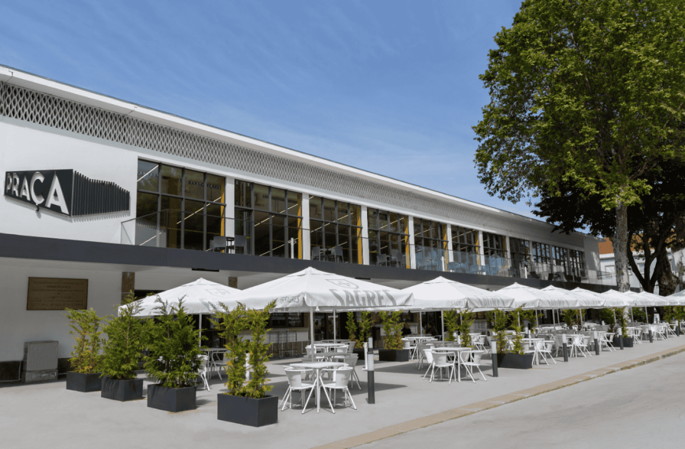 Azeituna celebra juventude no Mercado Municipal de Braga