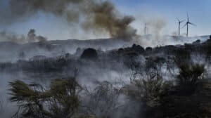 Governo vai declarar estado de calamidade na Serra da Estrela