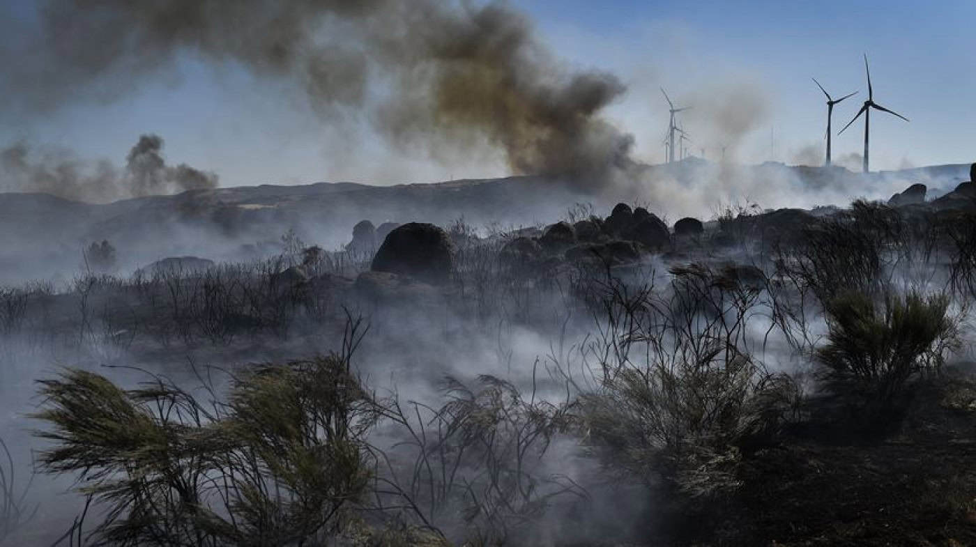 Governo vai declarar estado de calamidade na Serra da Estrela