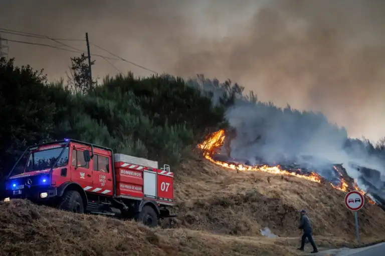 Bombeiros dizem que incêndio de Vila Real terá sido provocado por "fogo posto"