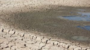 Bruxelas estima Península Ibérica com “condições mais secas do que habitual” até novembro&nbsp;