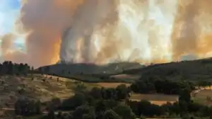 Calamidade declarada para a serra da Estrela e municípios com 10% de área ardida