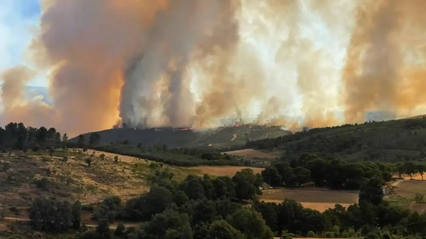 Calamidade declarada para a serra da Estrela e municípios com 10% de área ardida
